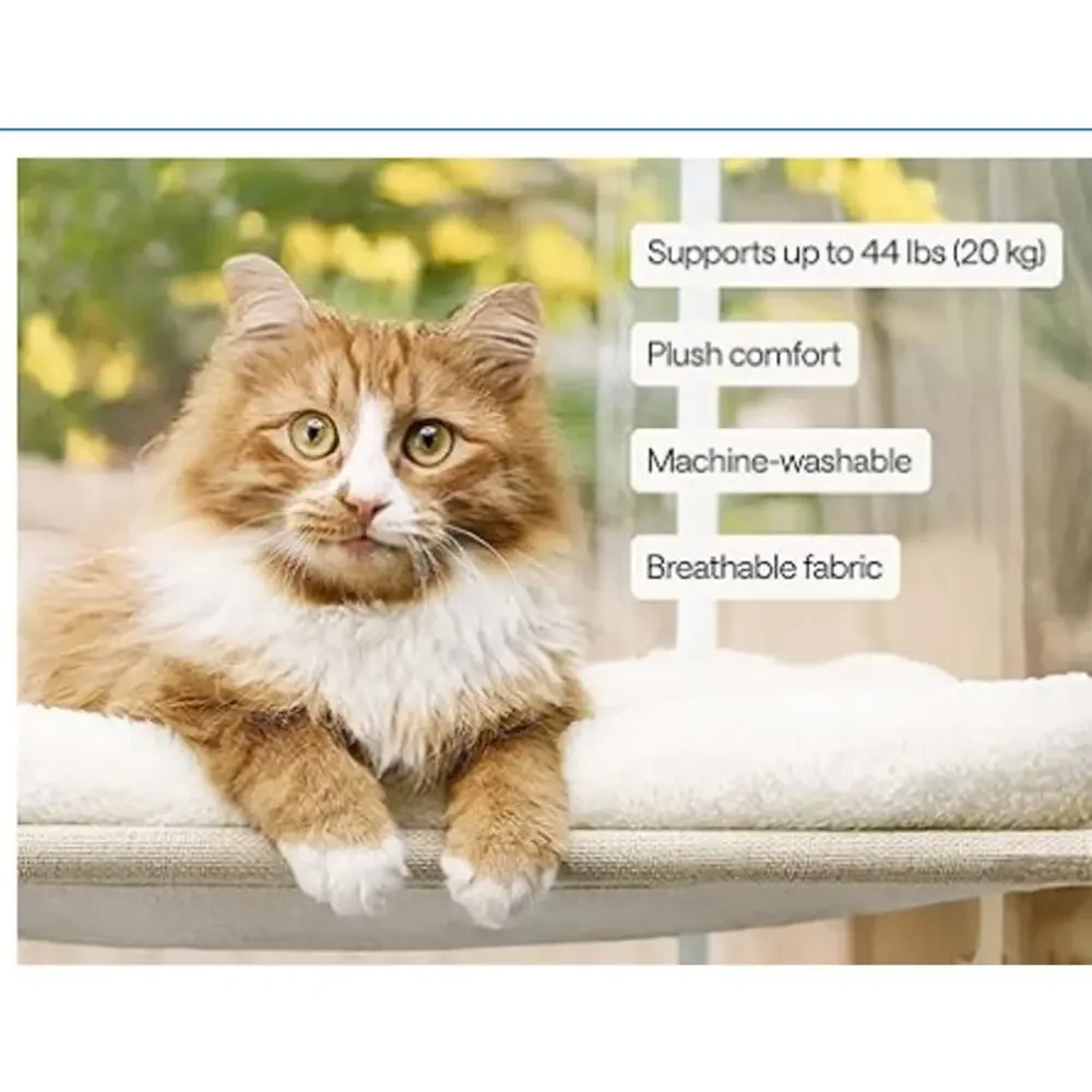 Unbranded foldable cat